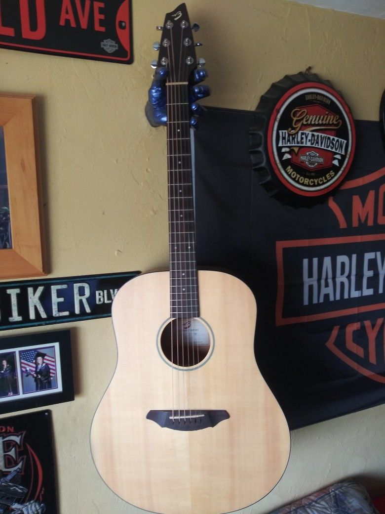 Breedlove Acoustic Guitar