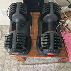 Ethos Adjustable Dumbbells 