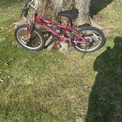 20” Kids Mountain Bike 