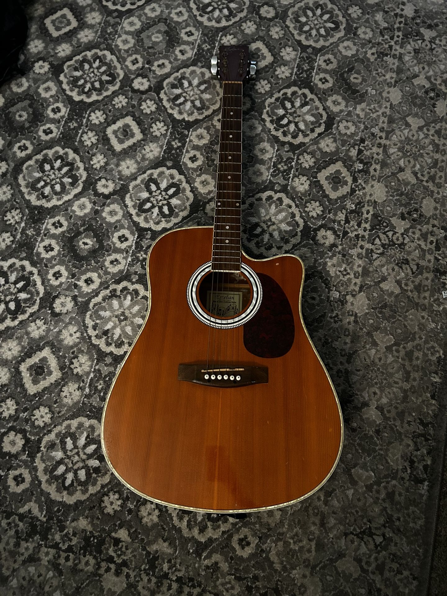 Esteban ALC-200 Acoustic Electric Guitar
