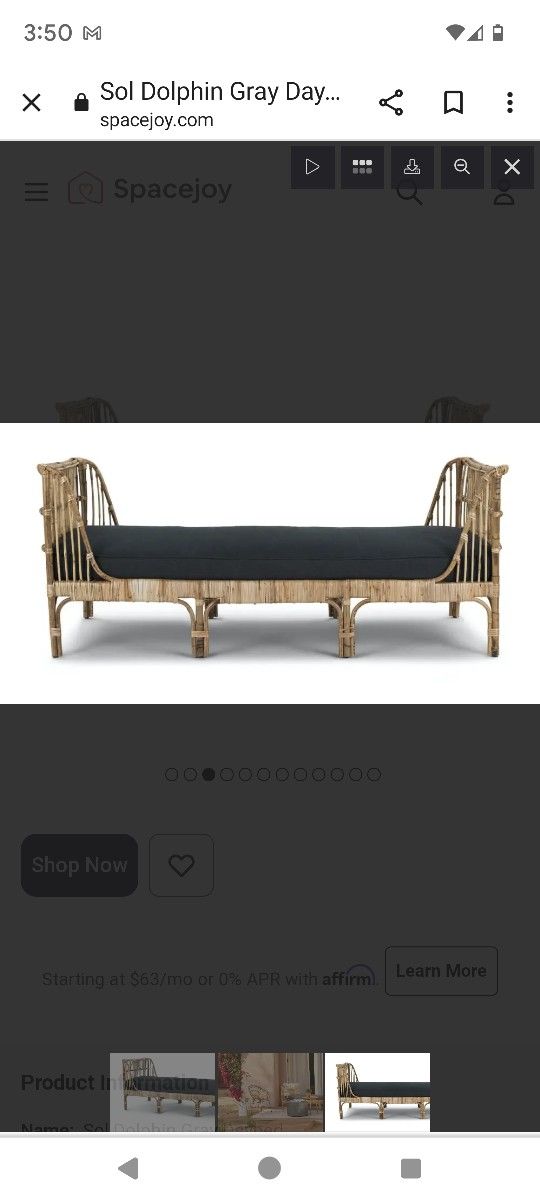 Article Sol Dolphin Gray Daybed