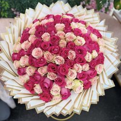 100 pink roses