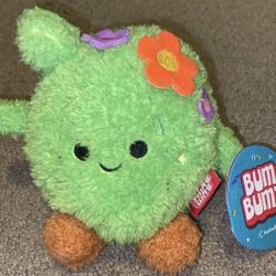 Bum Bumz Cactus