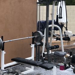 35, 30, 25, 20, 15 Pound Dumbbell Weights.