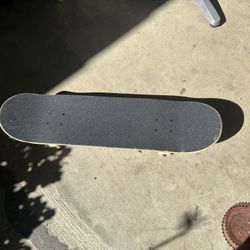 Globe Skateboard 