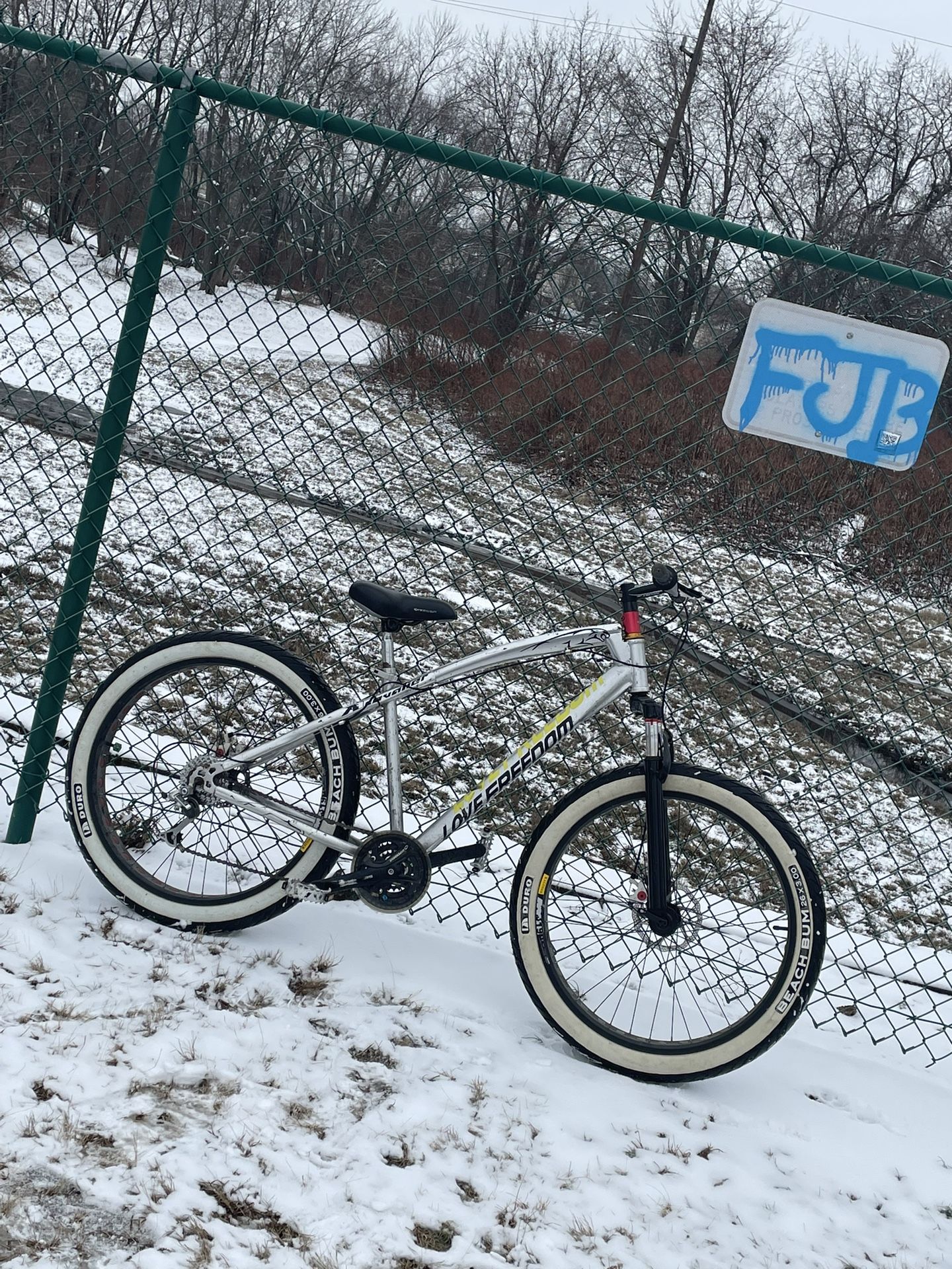 Love Freedom Beach Bum Tires Mountain Bike