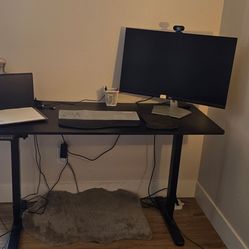 FLEXISPOT EN1 One-Piece Standing Desk, Electric Adjustable with 4 Memory Presets, 176 LBS Capacity, Stable & Quiet, Seamless Desktop for Home Office &