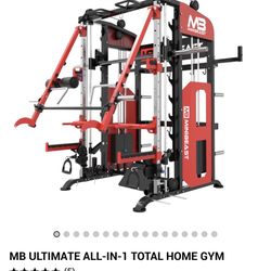 Mini Beast Commercial Full Body Workout Machine 