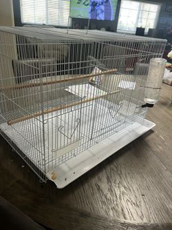 Bird Cage