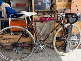Raleigh Road Bike