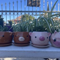 YARD SALE PLANTS