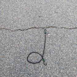 Bungee Cord 