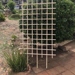 Trellis 38”x68” NEW