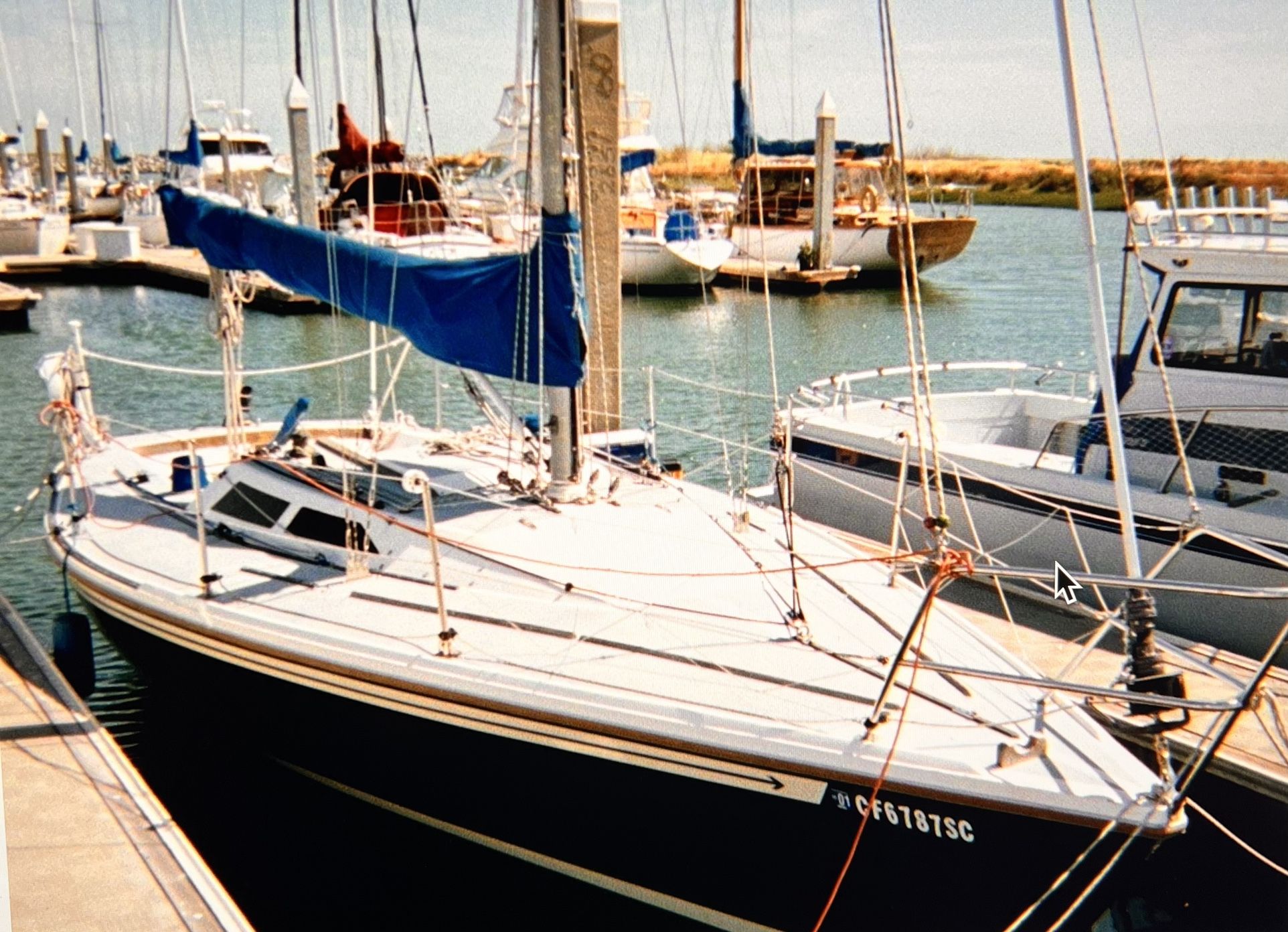1983 Capri 30 Sailboat  ⛵️ 