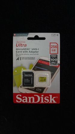 Sandisk 256gb Sd card