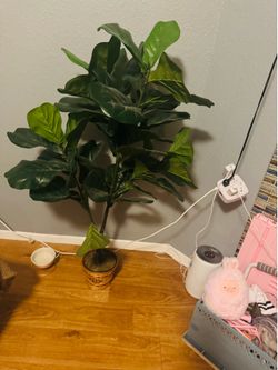 Target  Fiddle Leaf Fig Tree Artificial