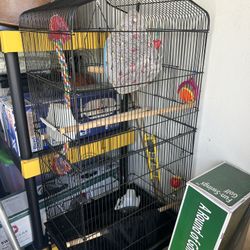 Metal bird cage with stand, accessories, toys parakeet or cockatiel. Kept inside, barely used