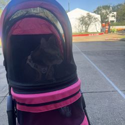 Pink Cat Stroller 