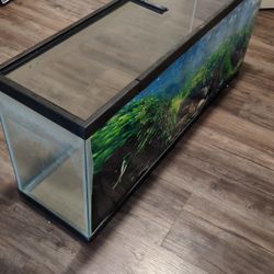 55 gallon aquarium
