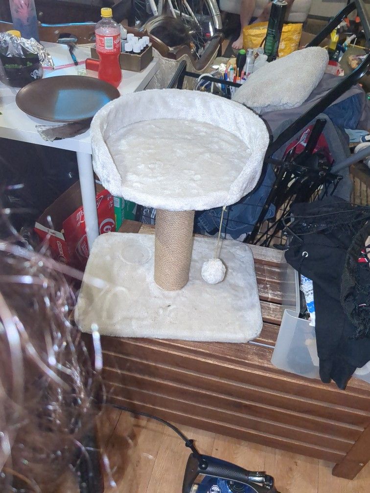 Cat Tower 