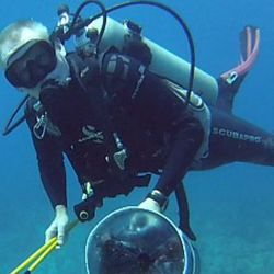 DIVE? SNORKEL? WETSUITS, $20 AND UP