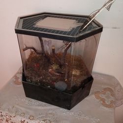 Bird Cage, Mini Aquarium