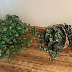 🌿🍃Pair of fake plants in baskets.  Both for $25 or $15 for 1. Smoke and pet free home! PU near Kennewick Walmart 
