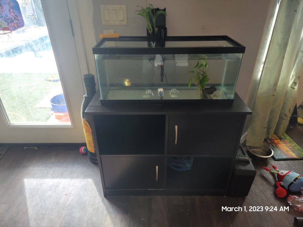 20 Gal (Long) Fish Tank And STAND