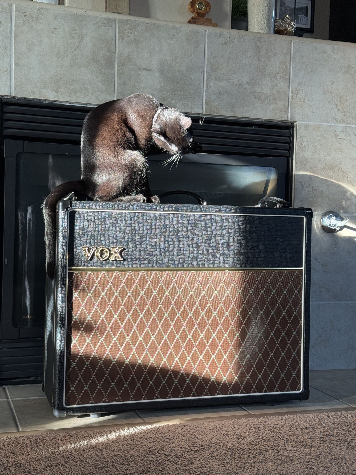 Vox AC15C2 - 15watt Vox amp 2x12” Speakers