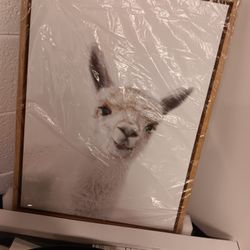 New Wall Framed Canvas Picture 