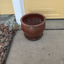 Flower Pot 