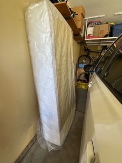 FREE Twin mattress