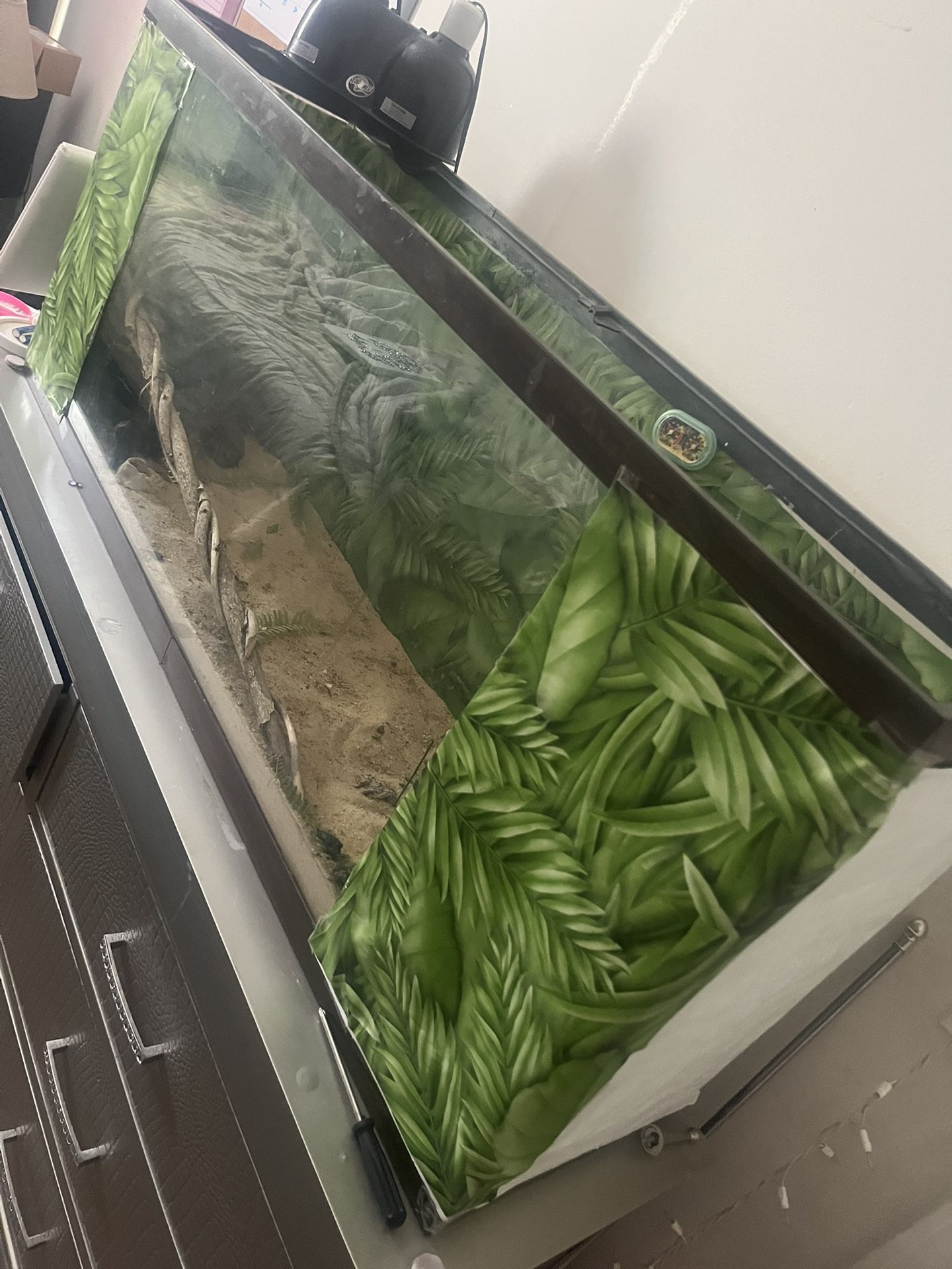 Reptile tank