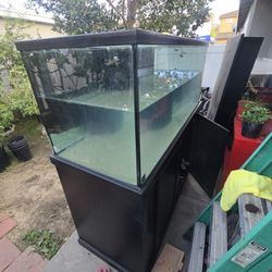 150 Gallon Fish Tank & Base