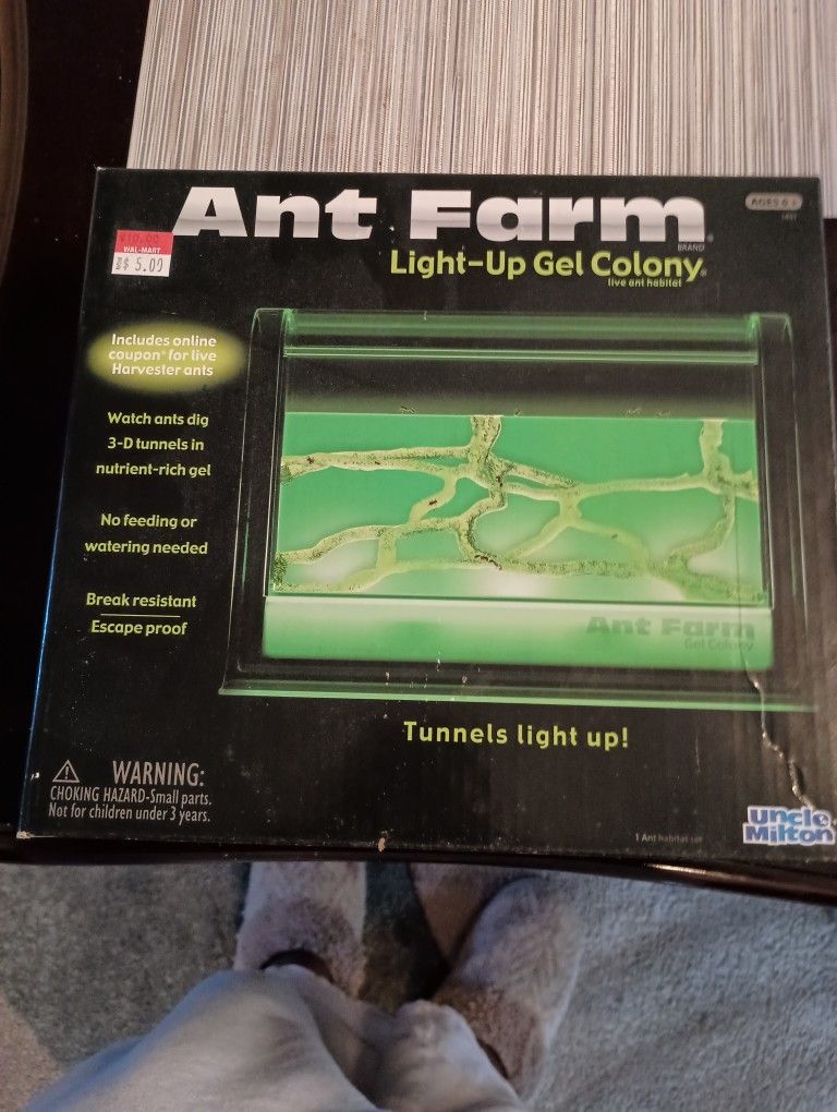 Ant Farm