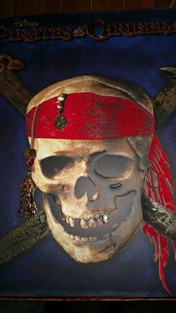 Disney Pirates of the Caribbean movie book