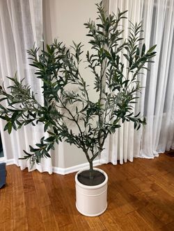 Faux Olive Tree in White Pot