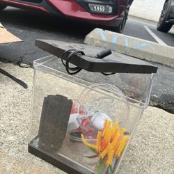 Fish Tank Don’t Need No More Need It Gone