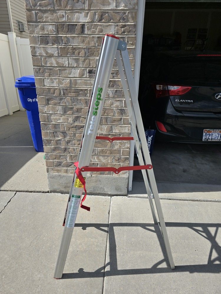 Sells for $170 new
Venmo accepted 
The Telesteps 500FLS Single-Sided “STIK” Step Ladder is your ultra-lightweight, ultra-compact solution for everyda