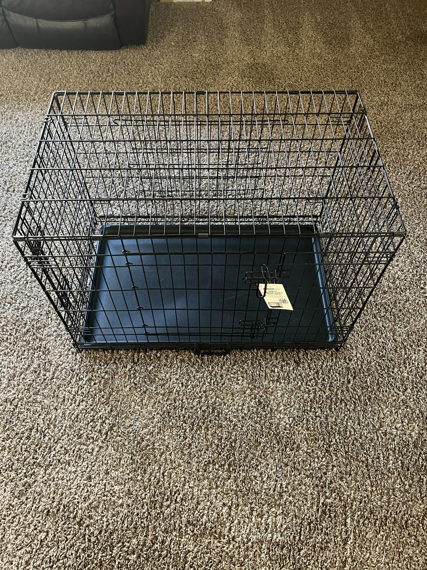 Dog Kennel