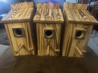Bird Houses