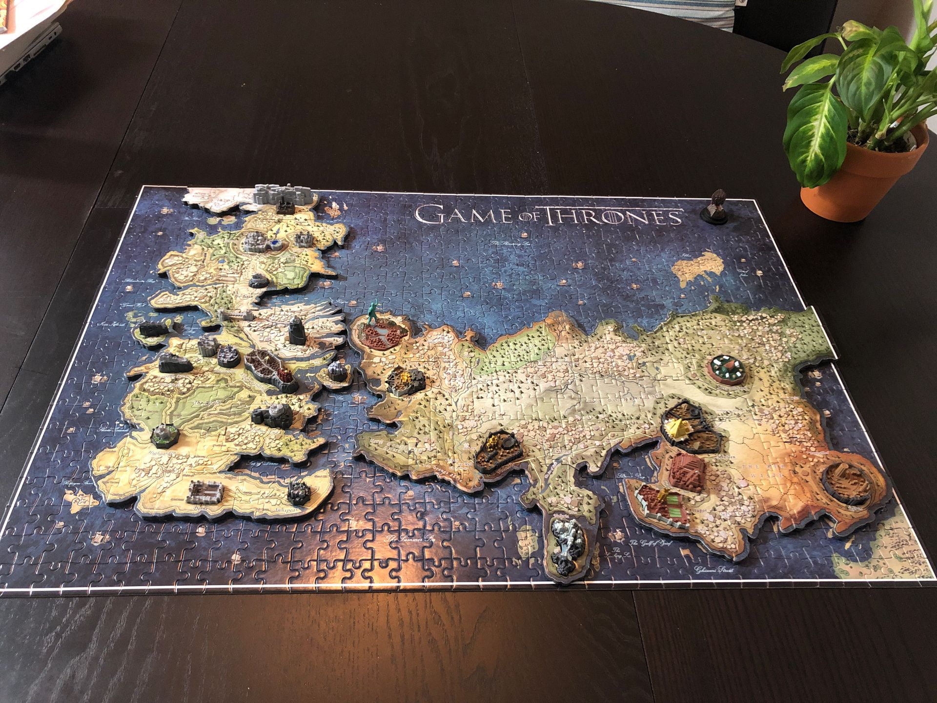 Game of Thrones Puzzle/ Decor