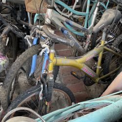Mountain Bikes