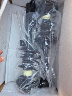 Struts assembly pair