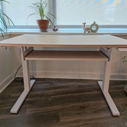 Ikea Mittzon Standing Desk + Cord Management + Keyboard Tray + Headphone Hooks - 47 x 32", Birch White