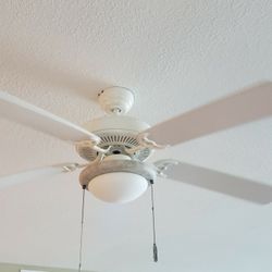 Ceiling Fan