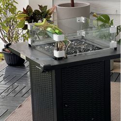 Fire pit With Glass And Stones 