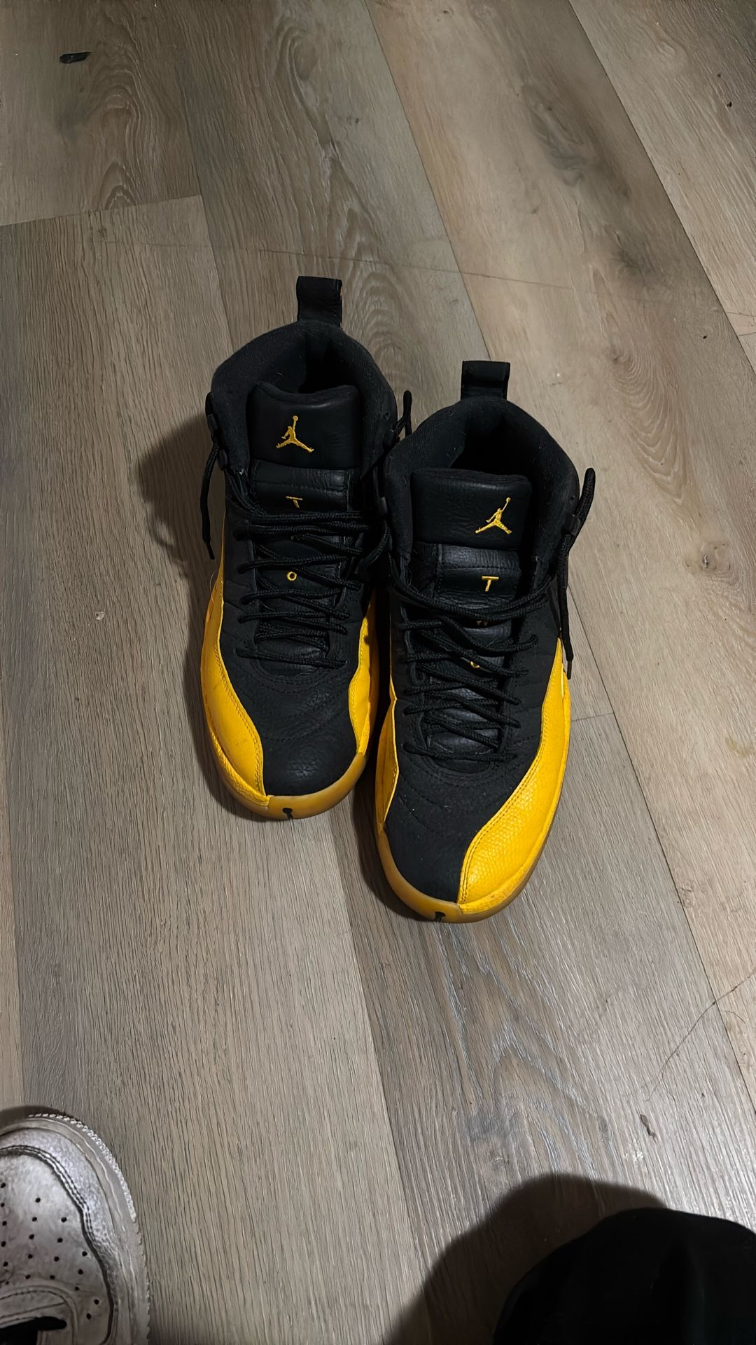 Jordan 12’s Size 8.5