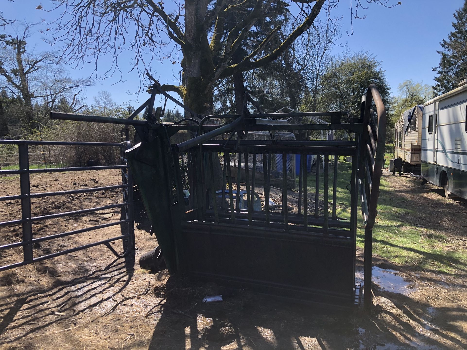 Cattle Chute