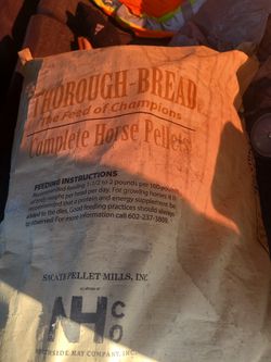 Horse Food